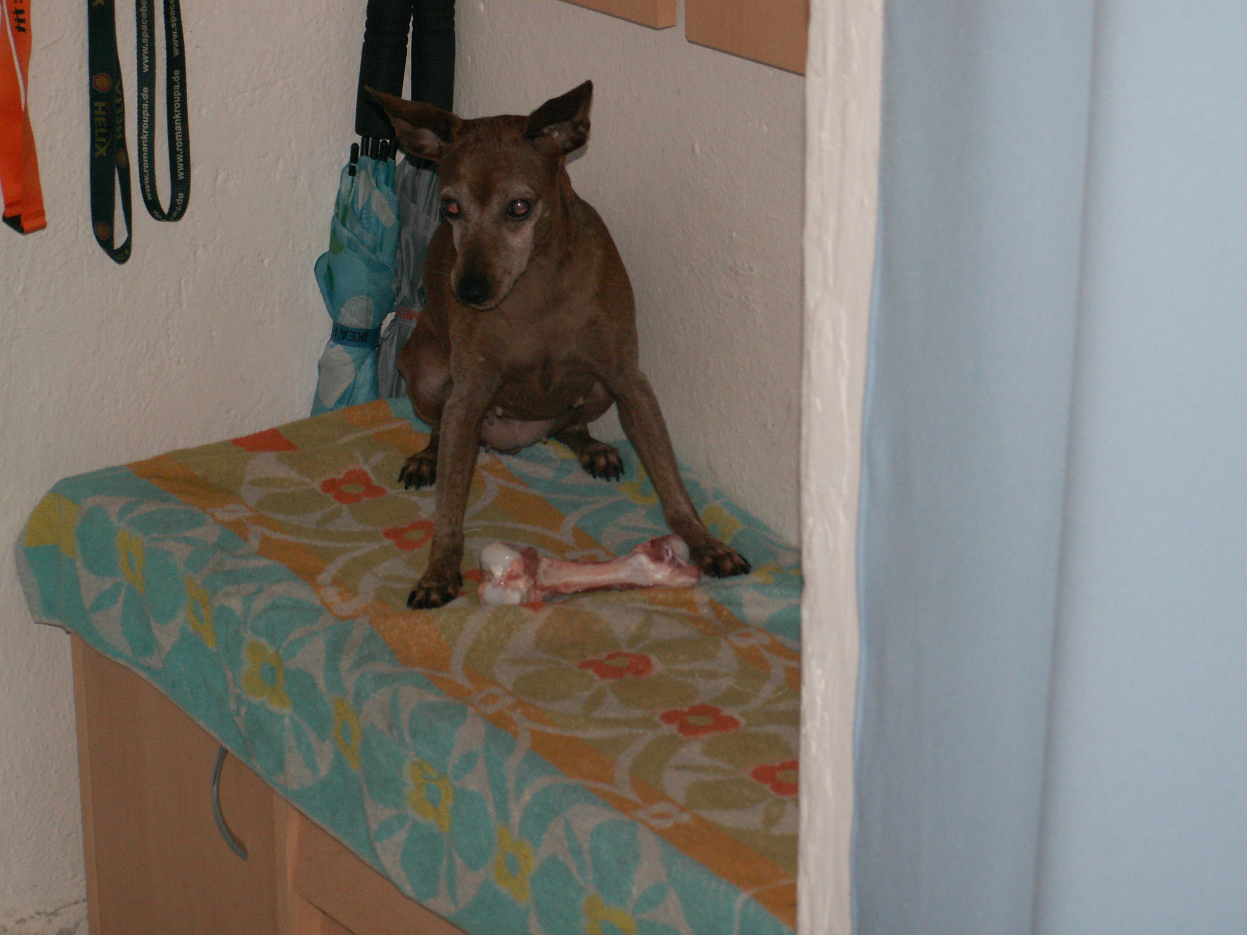 PICT6448.JPG