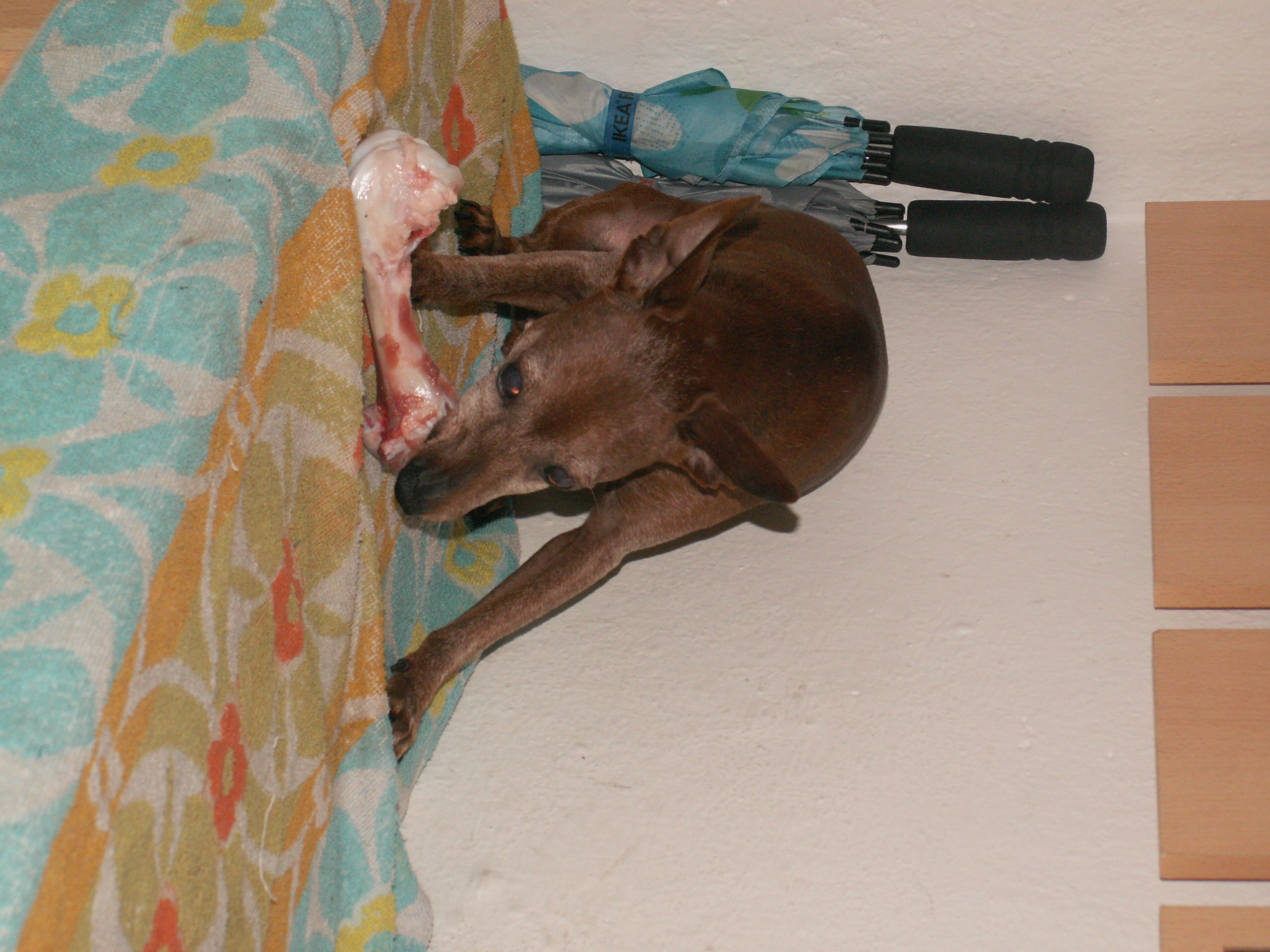 PICT6449.JPG