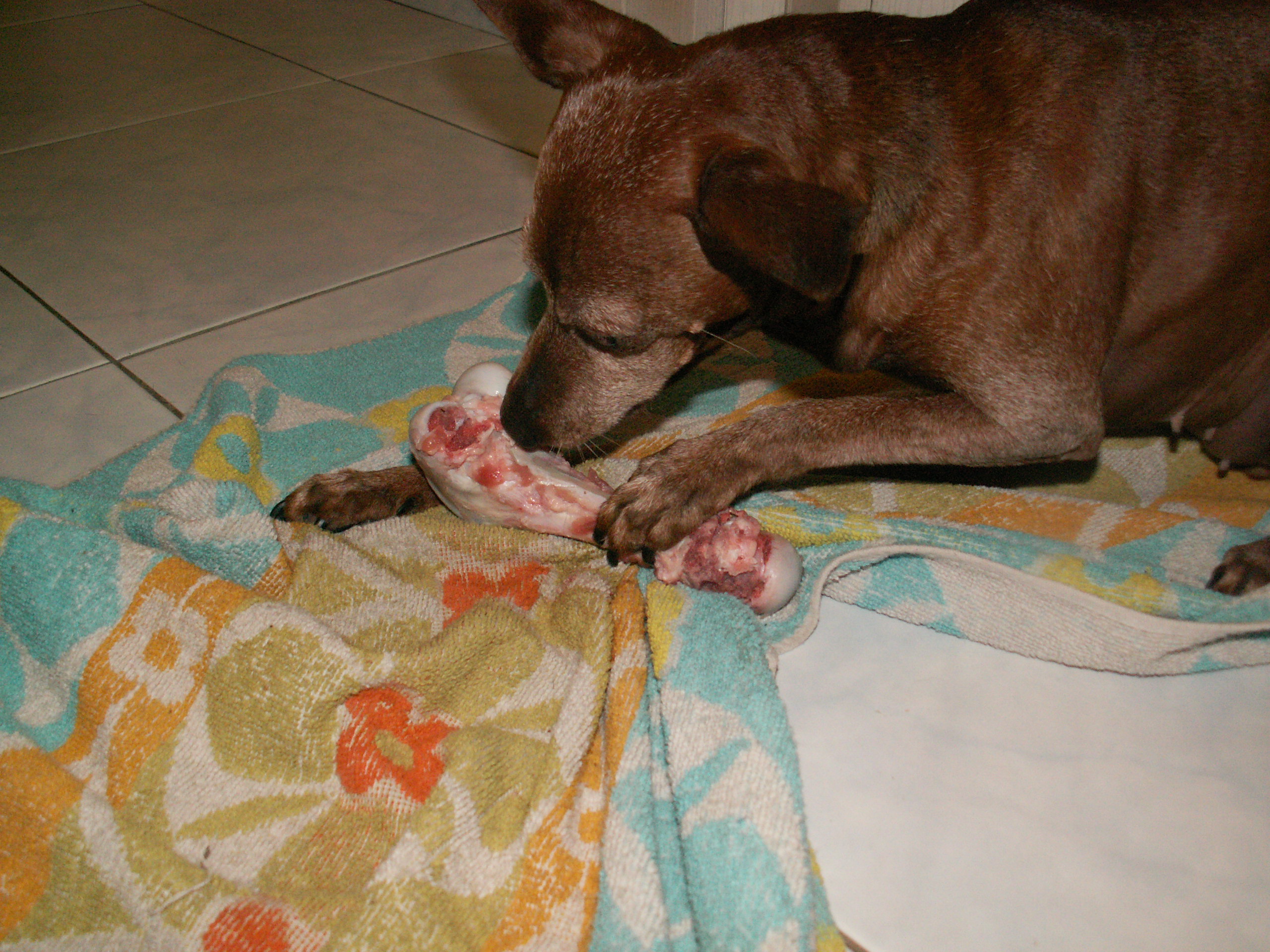 PICT6454.JPG